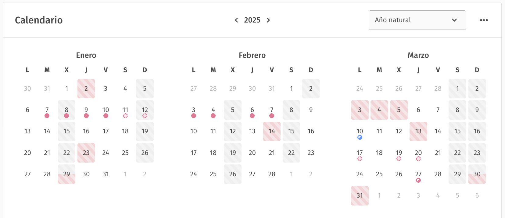 Filtro de calendario - Año natural